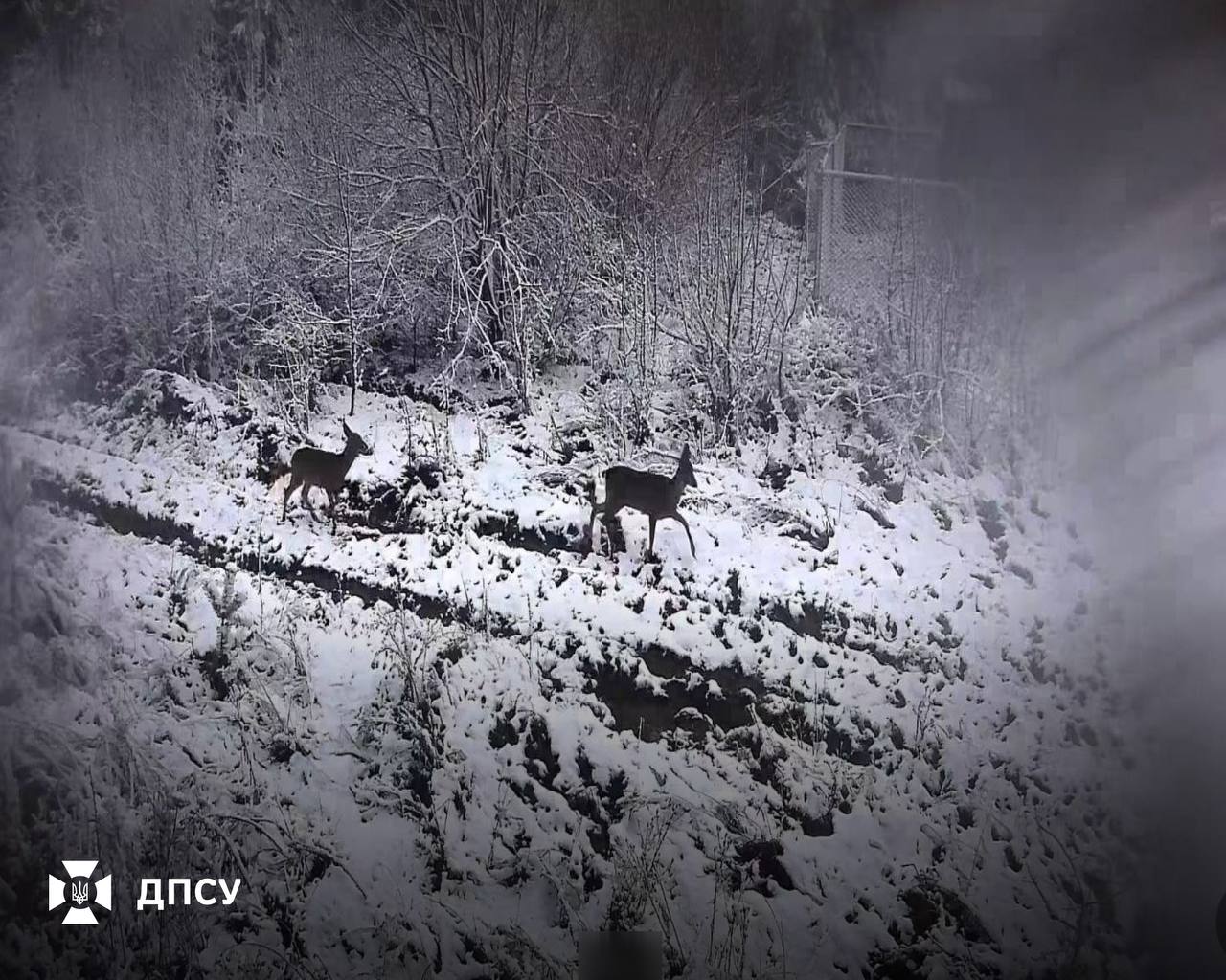 Зимова обстановка на прикордонних ділянках Львівщини