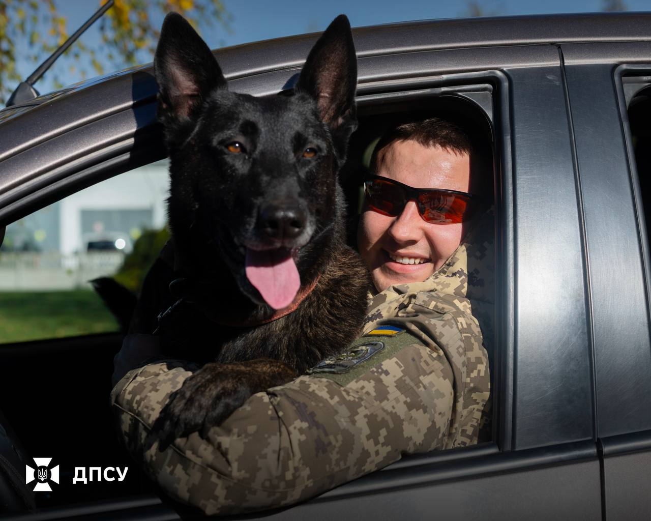 Довіра та тренування службових собак