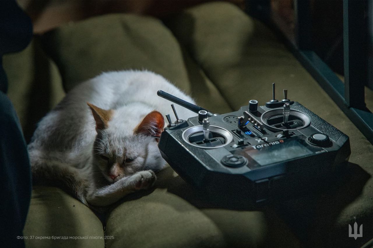 Оперативна інформація щодо російського вторгнення