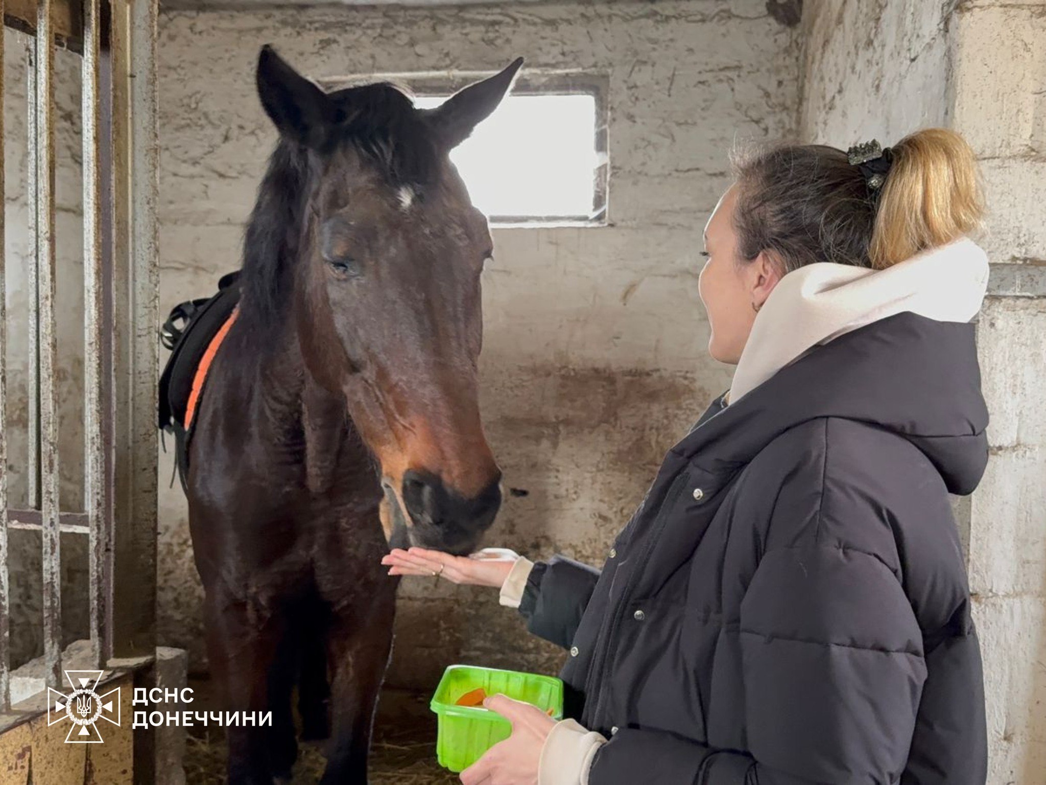 Іпотерапія для психологинь ДСНС Донеччини