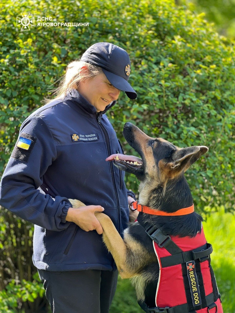 Пішов із життя пес Дерек