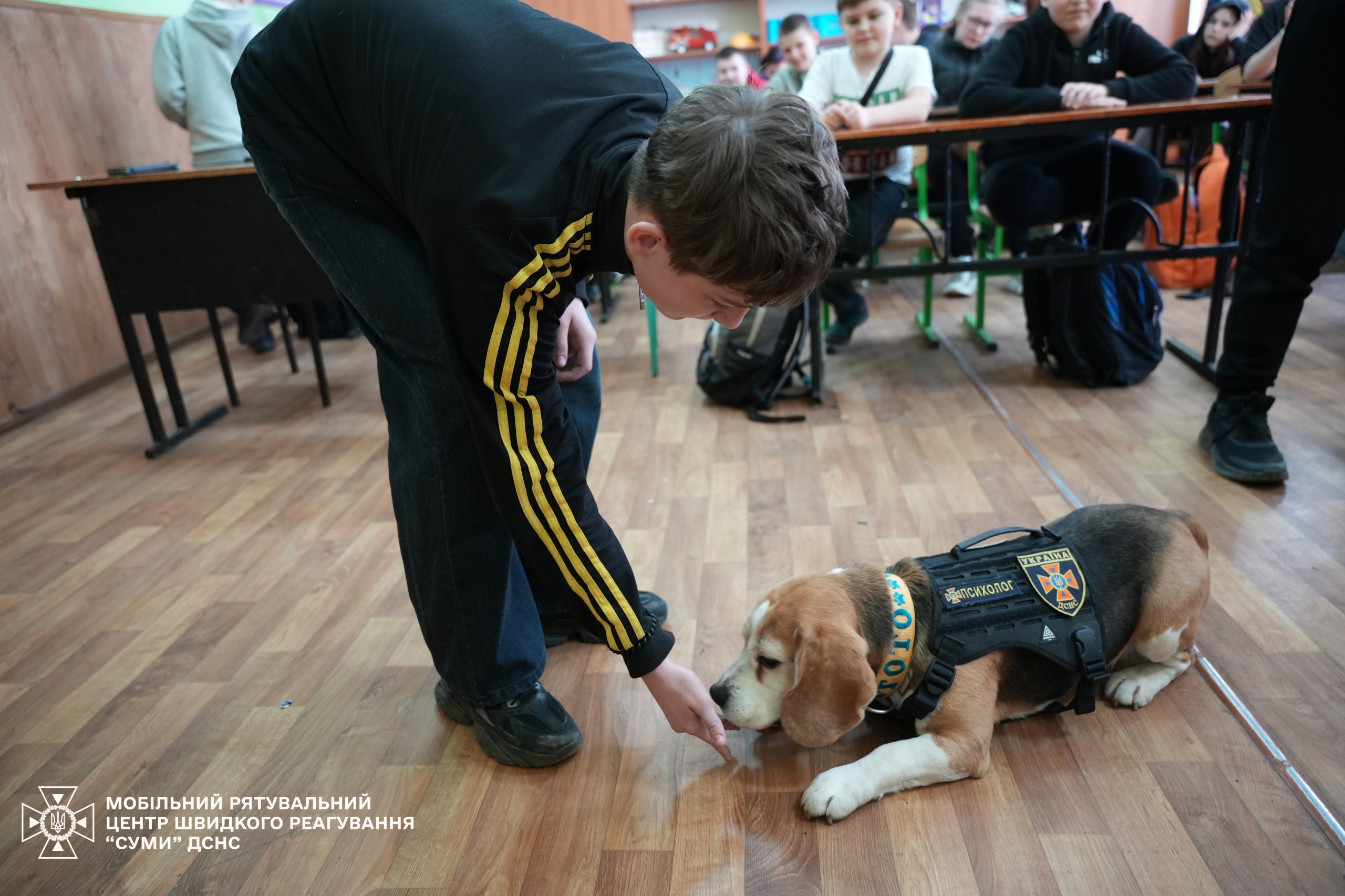 Пригоди, що навчають рятувати життя: гра «Патруль пригод»