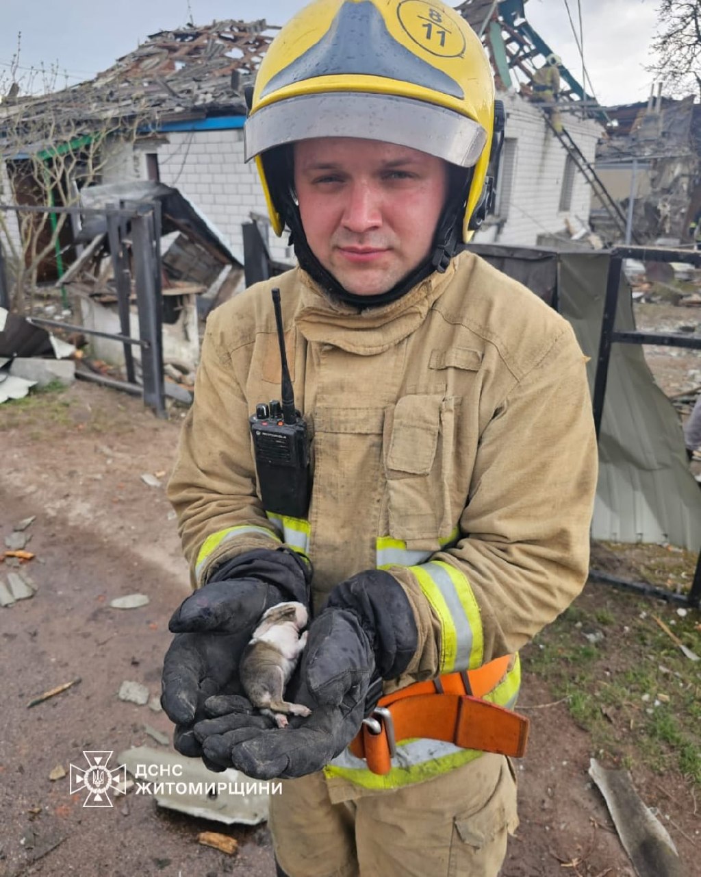 Атака по житловому сектору на Житомирщині