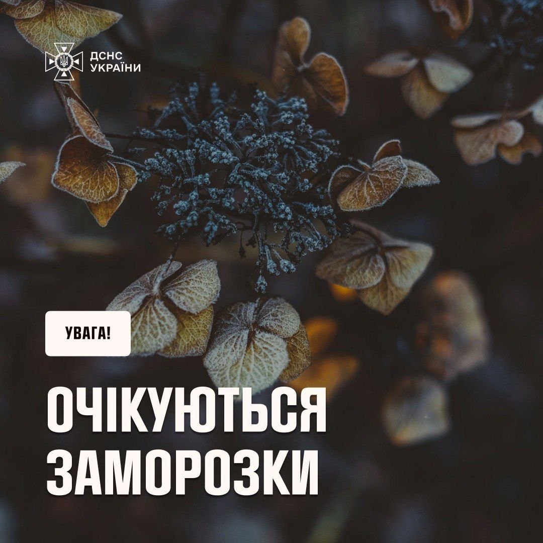Попередження про штормовий вітер і заморозки