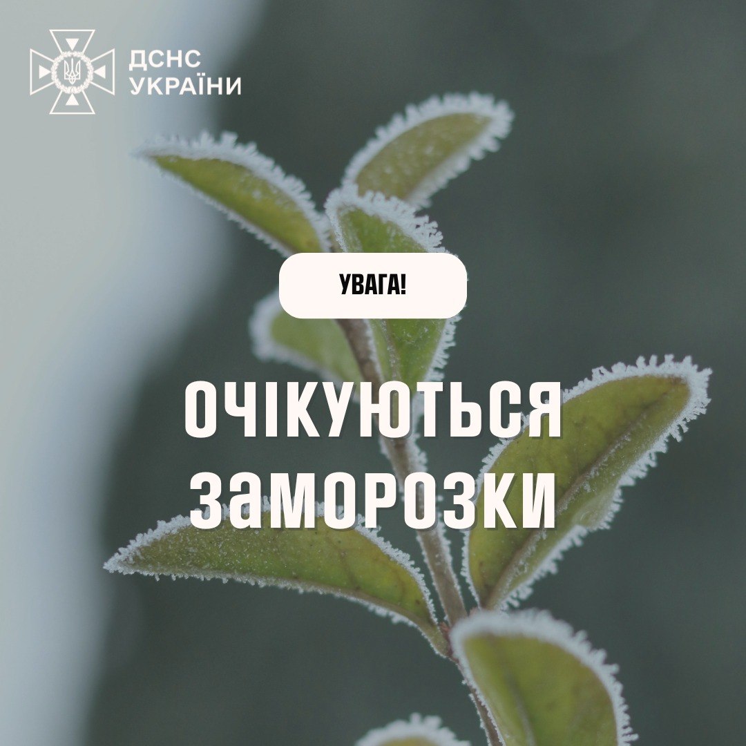 Заморозки в Україні не відступають