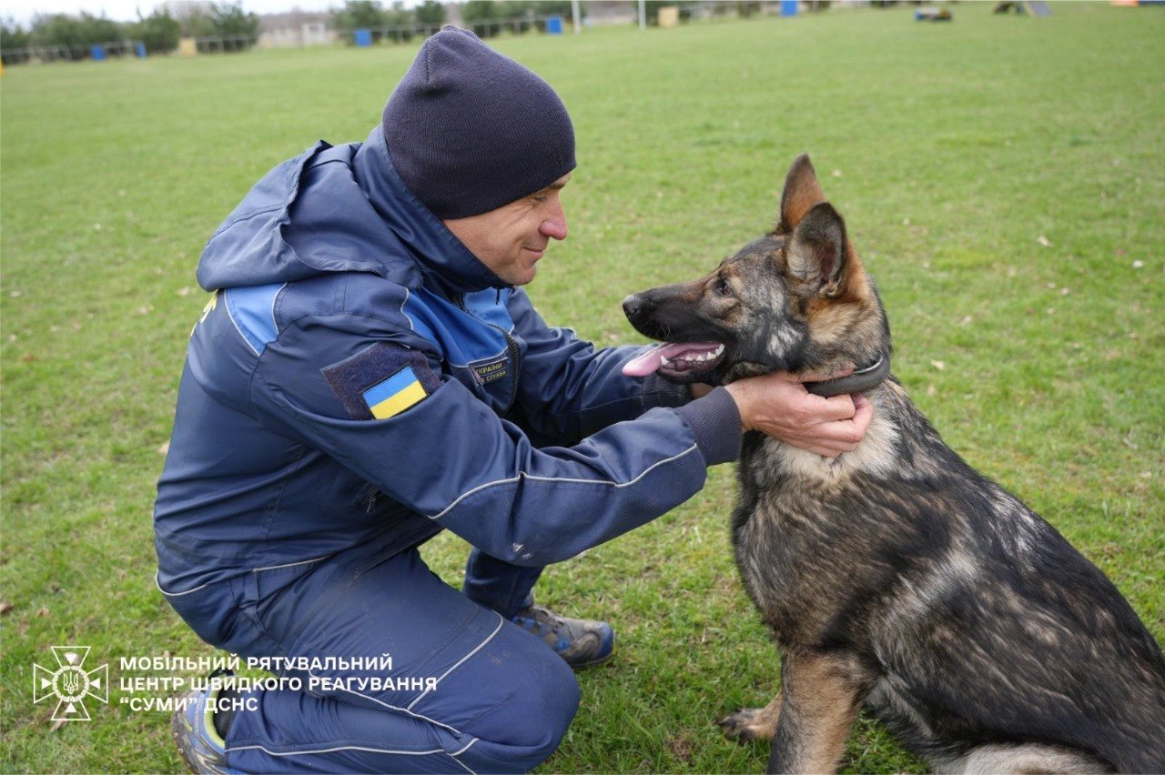 Цуценята ДСНС «Суми» та Арза (німецька вівчарка)