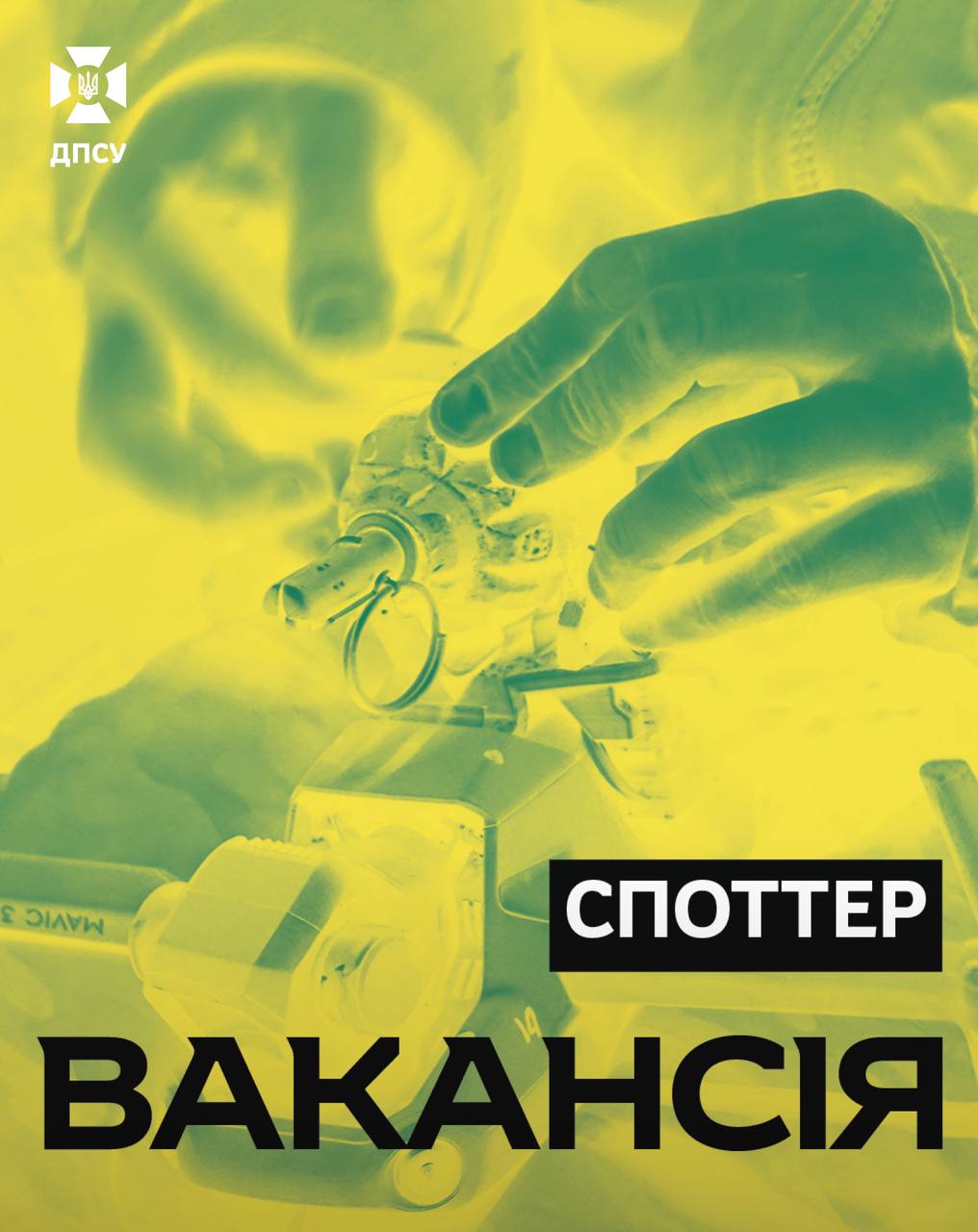 Шукаємо споттерів у «Фенікс»