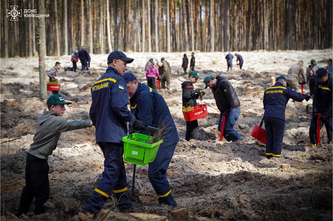 Рятувальники Київщини долучилися до висадки лісу в Бородянській громаді