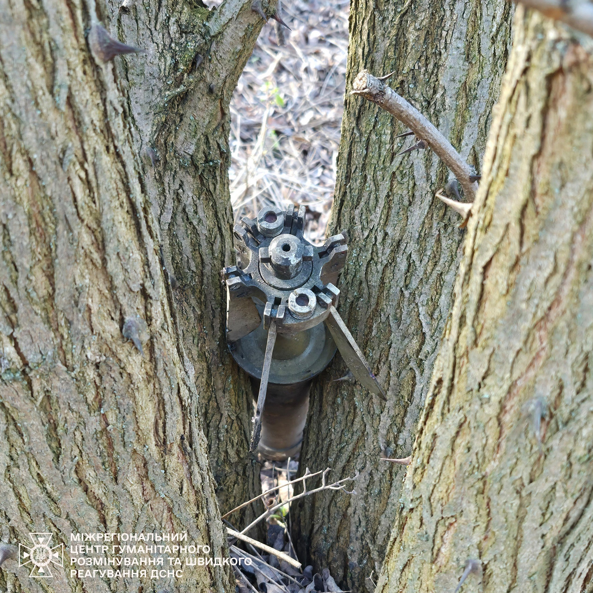 Сапери ДСНС продовжують розмінування Харківщини