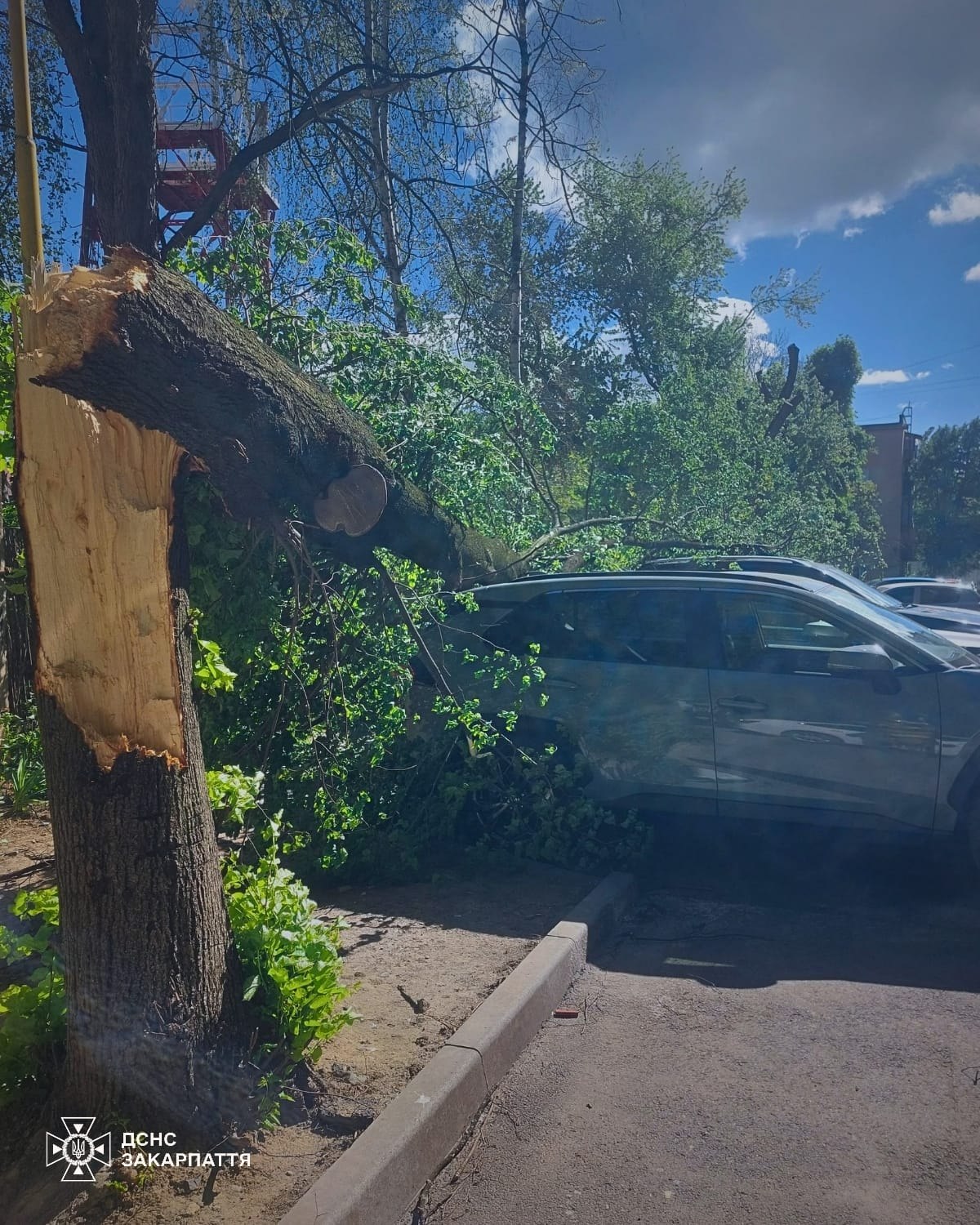 Наслідки негоди в Україні: 2 загиблих