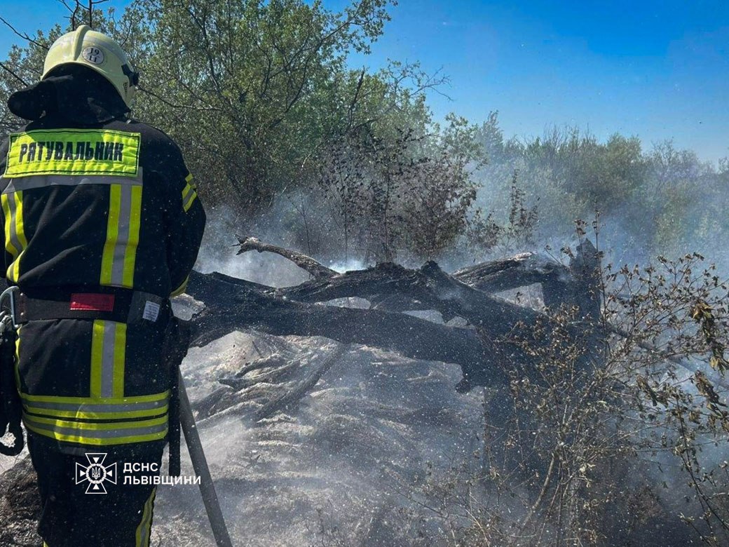 Калуш: під час пожежі сухої трави виявили тіло