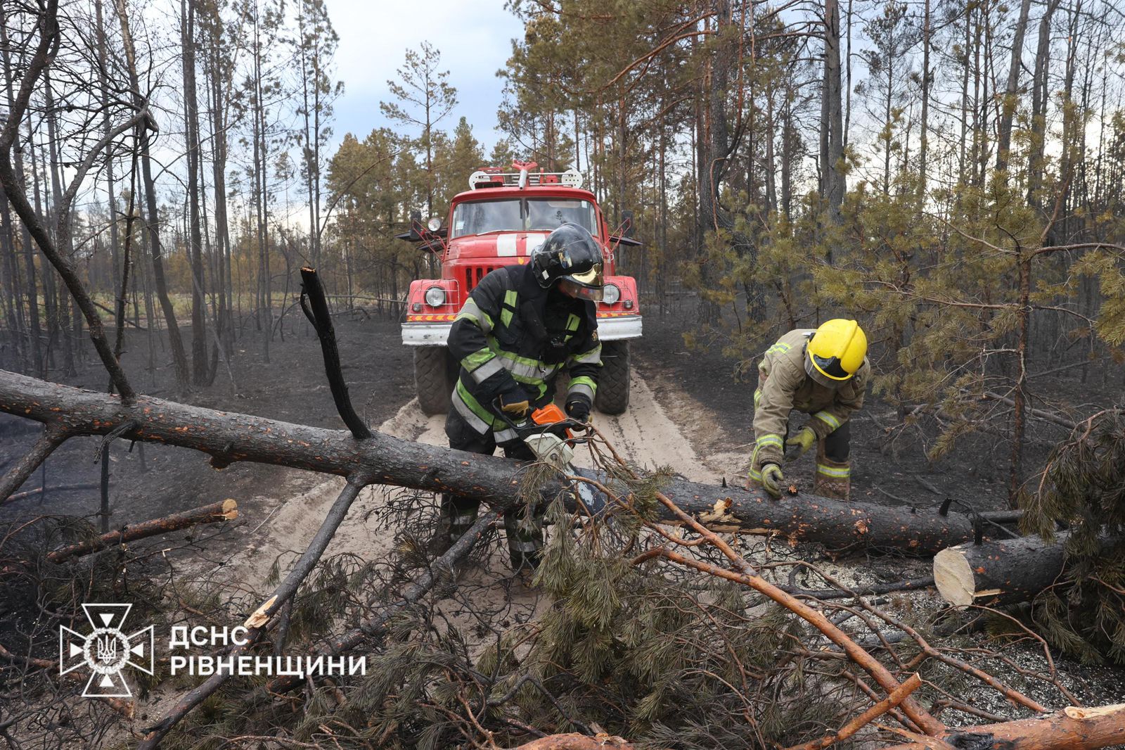 Гасіння пожеж у 4 областях України: 9 пожеж