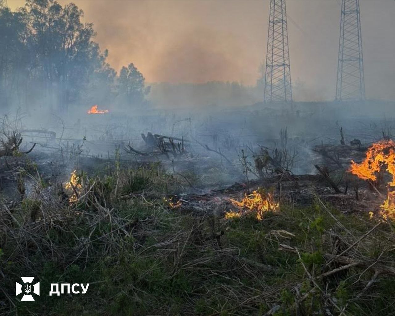 Прикордонники гасили пожежу в зоні відчуження