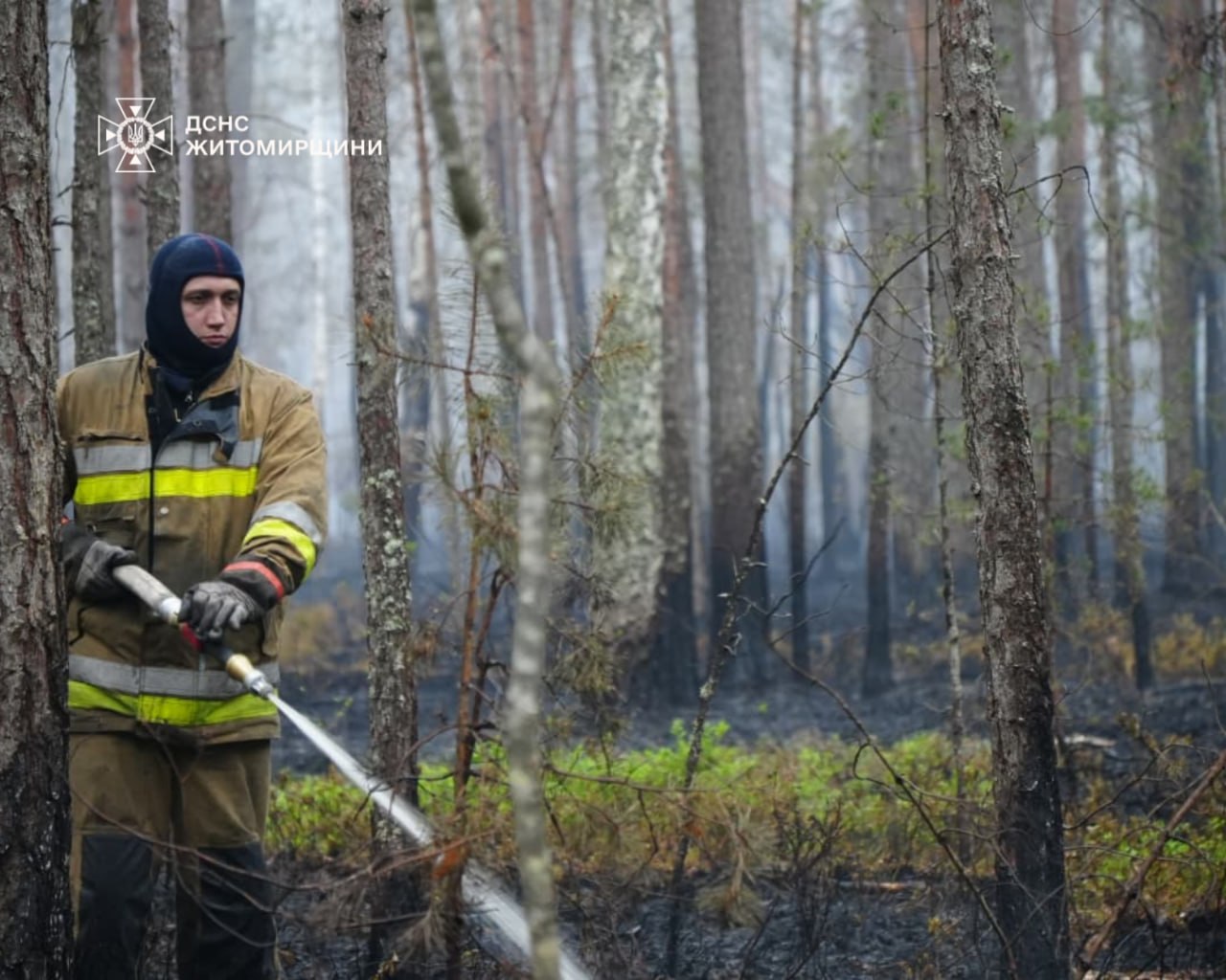 Ліквідація лісової пожежі у Поліському заповіднику