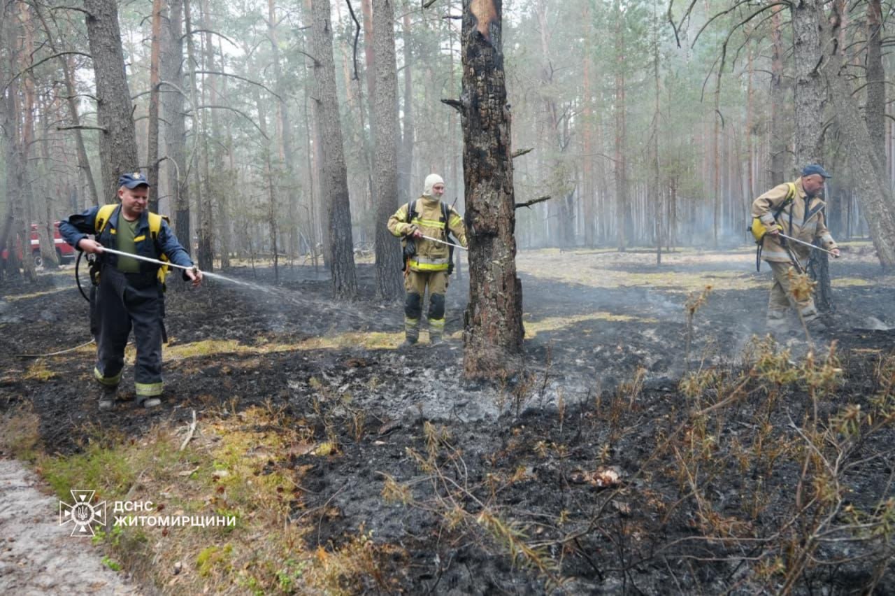 Ліквідація лісової пожежі в Поліському заповіднику