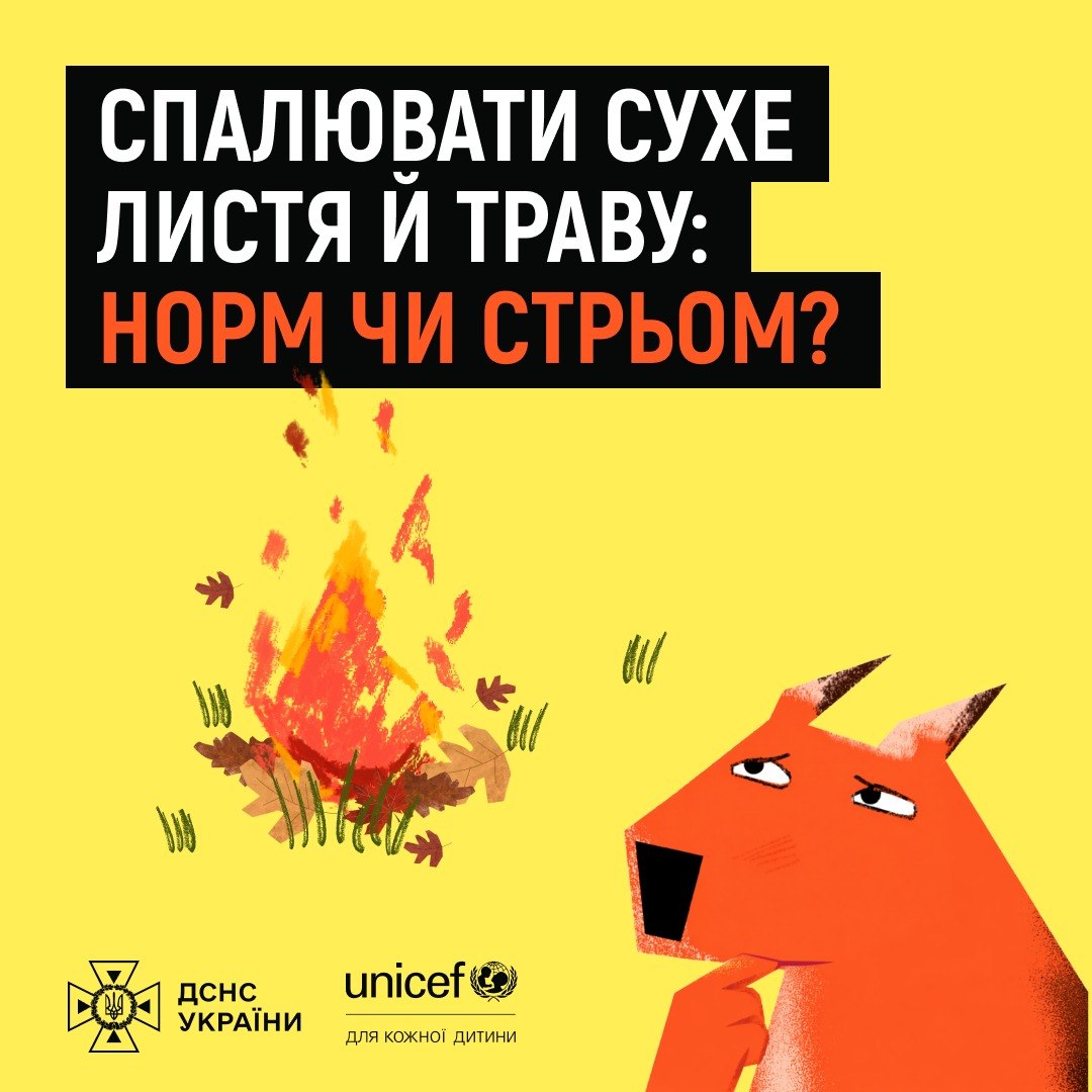 Спалювання сухої рослинності: наслідки та компостування