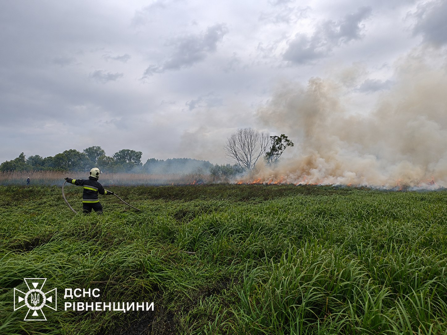 Рятувальники врятували двох оленят з пастки