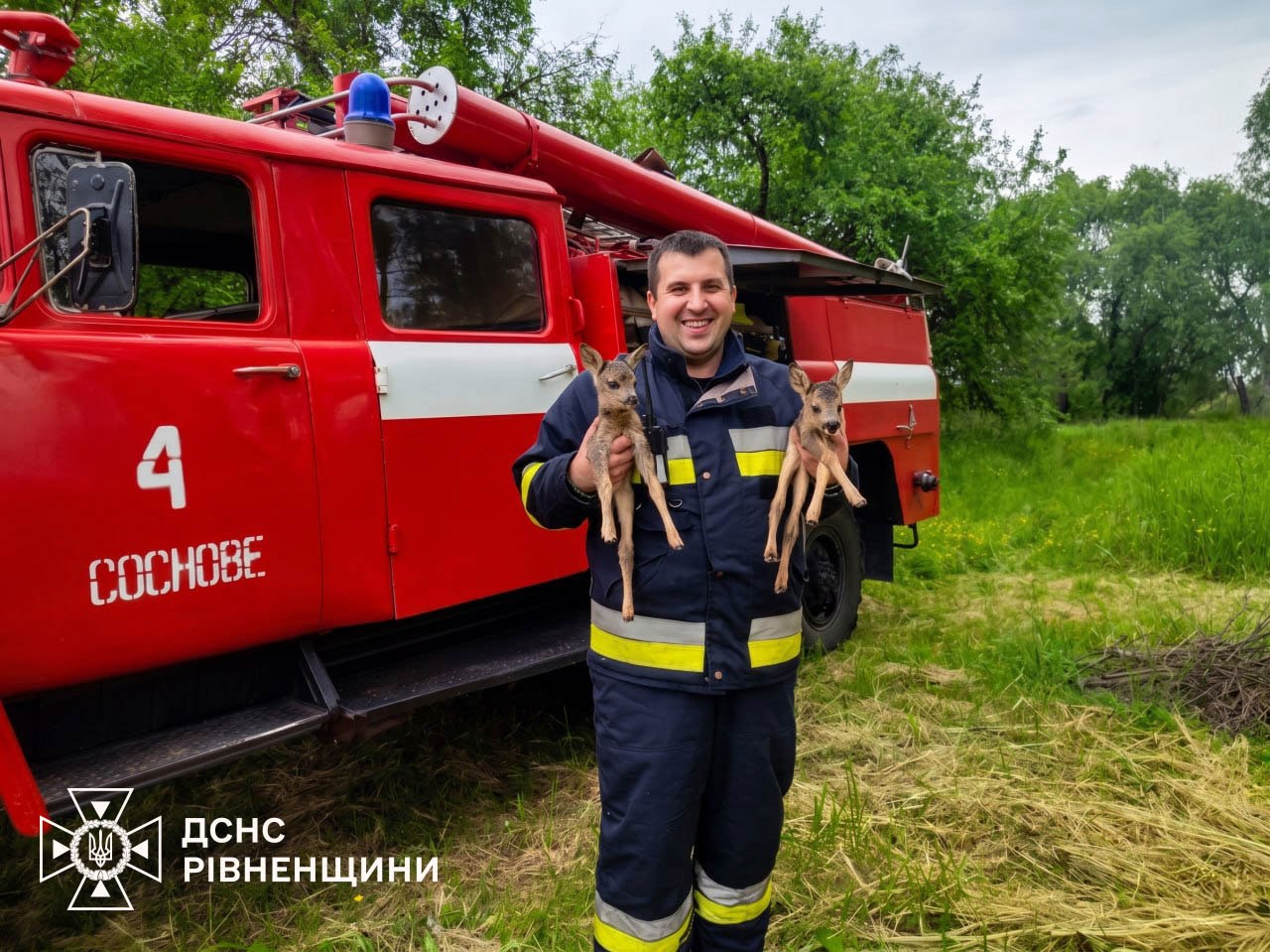 Рятувальники визволили двох оленят з пастки