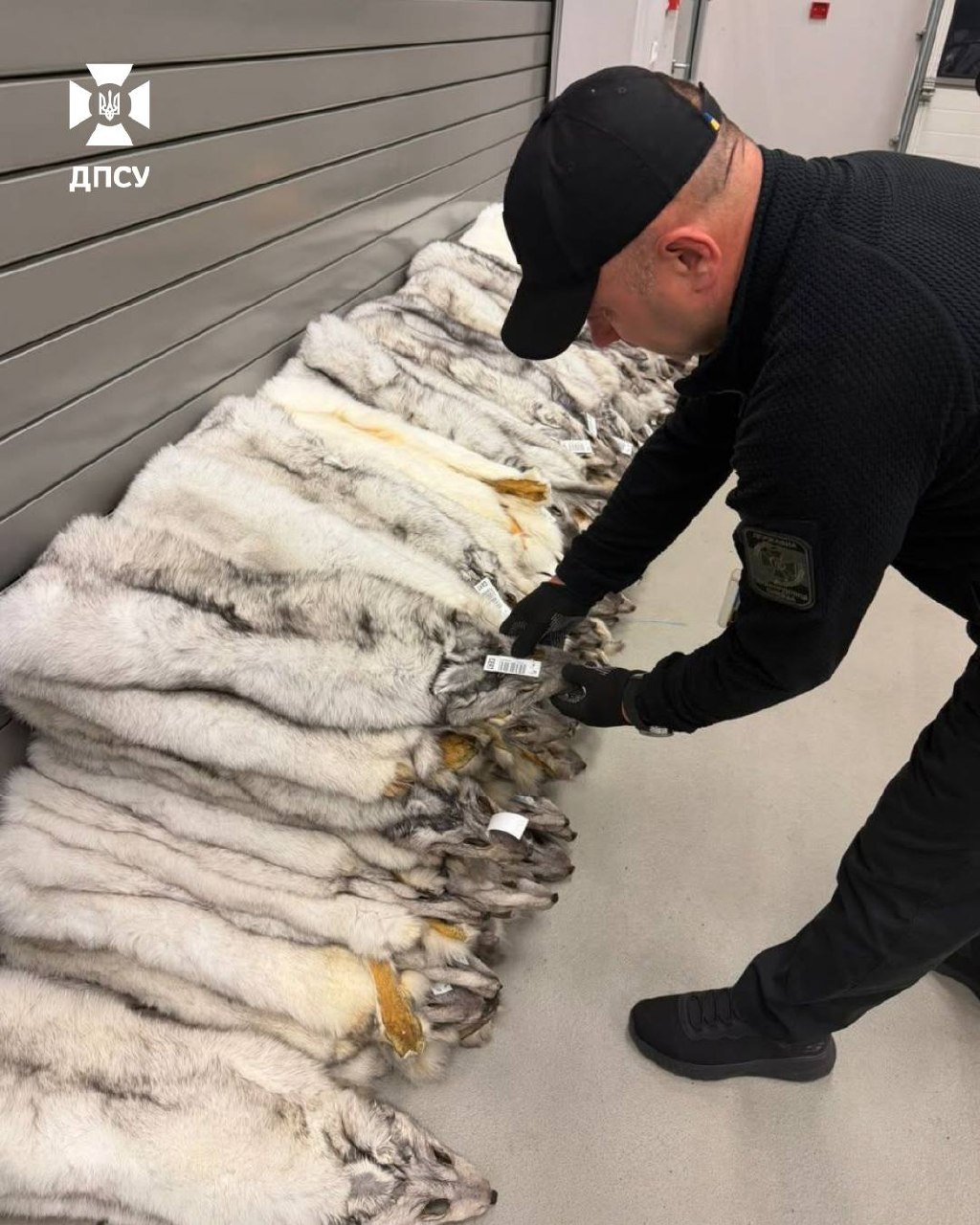 Песець вартістю 400 тис. грн на «Грушів»