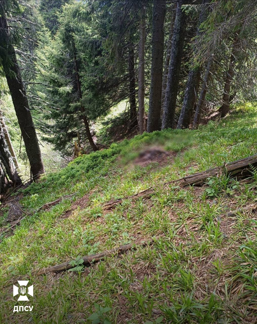 Прикордонники виявили тіло чоловіка біля кордону
