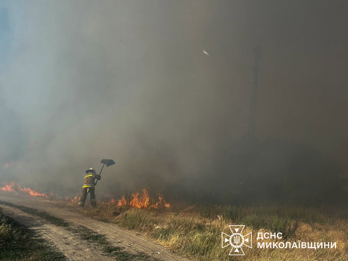 220 пожеж в екосистемах: майже 118 га за добу