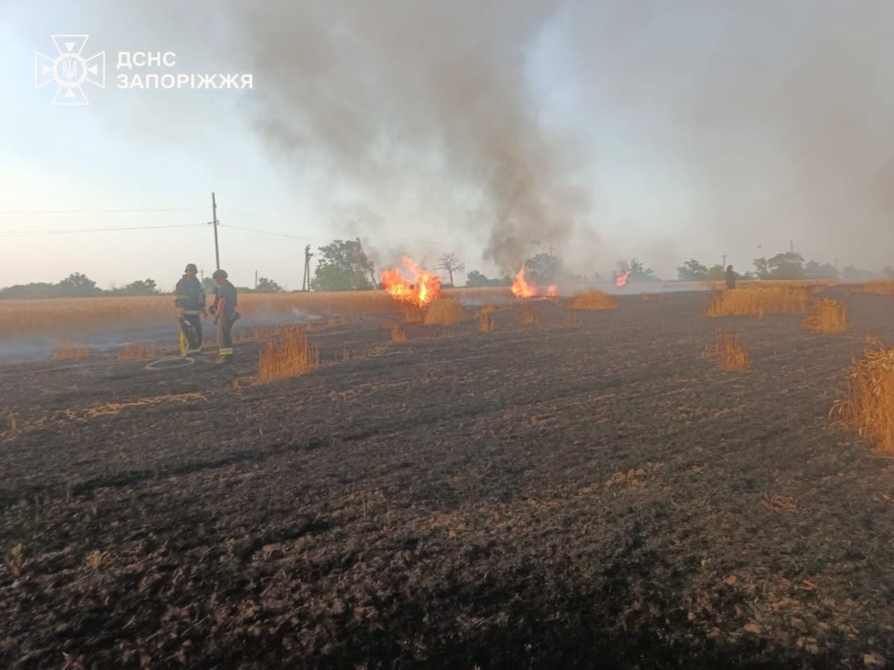 Херсонщина у вогні: 15 пожеж за добу