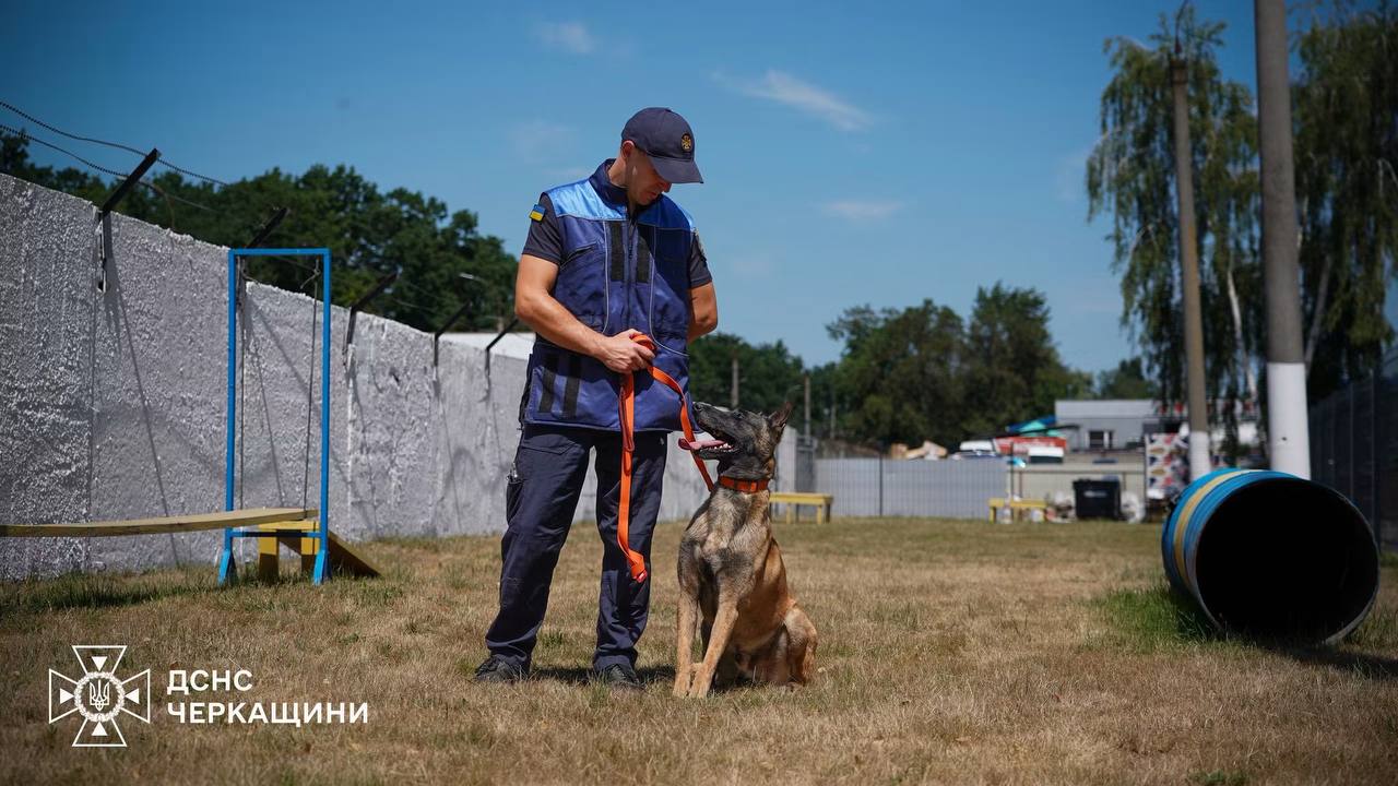 Службовий пес ДСНС Блерт з Черкащини тренується