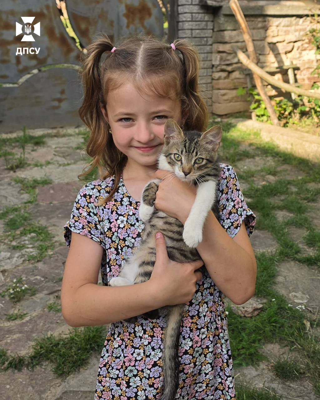 Кошеня Фішка з Харківщини у новий дім