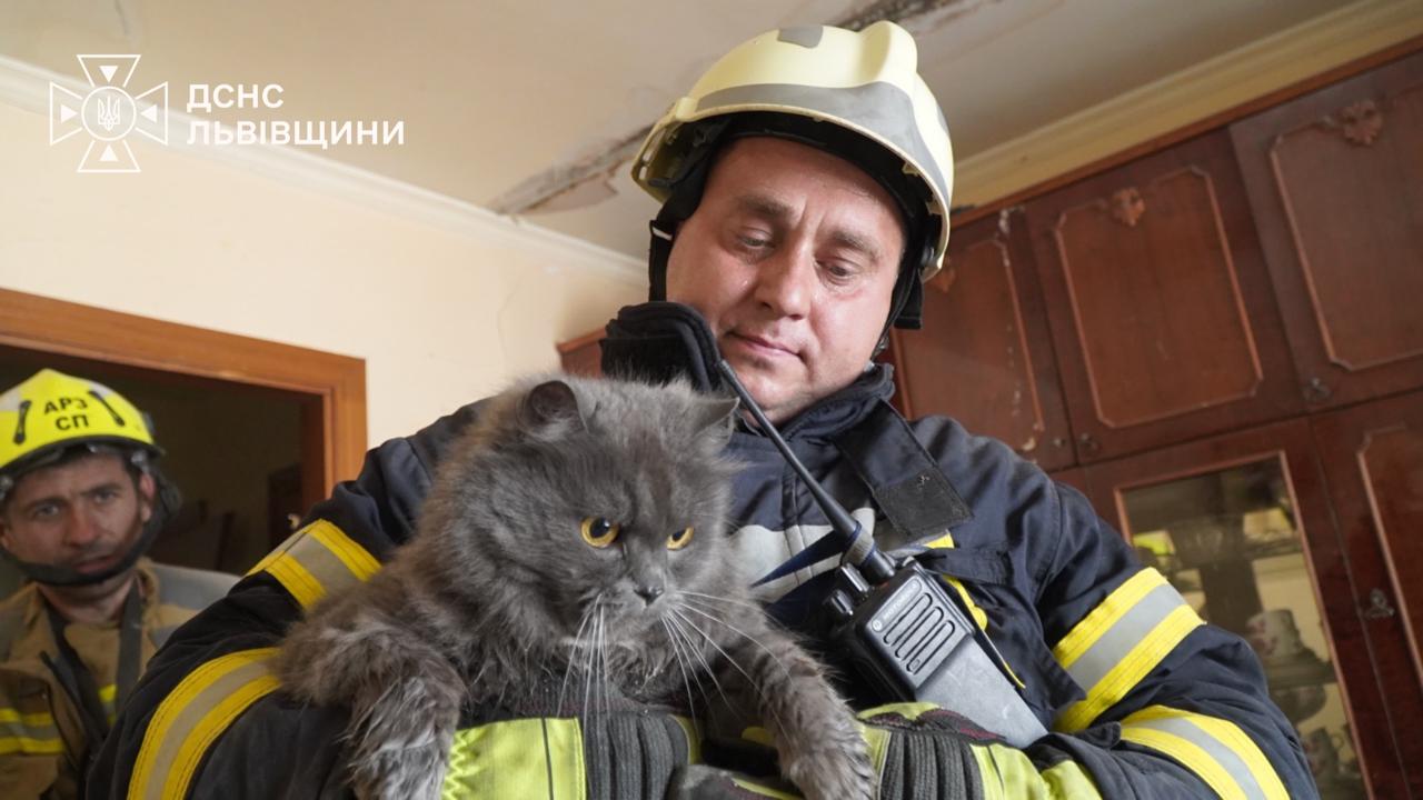 Порятунок тварин після російських обстрілів