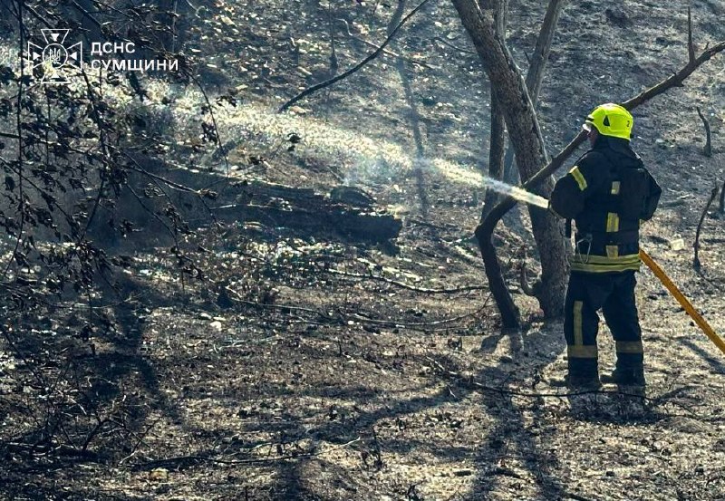 Ворог завдав авіаударів по Сумах