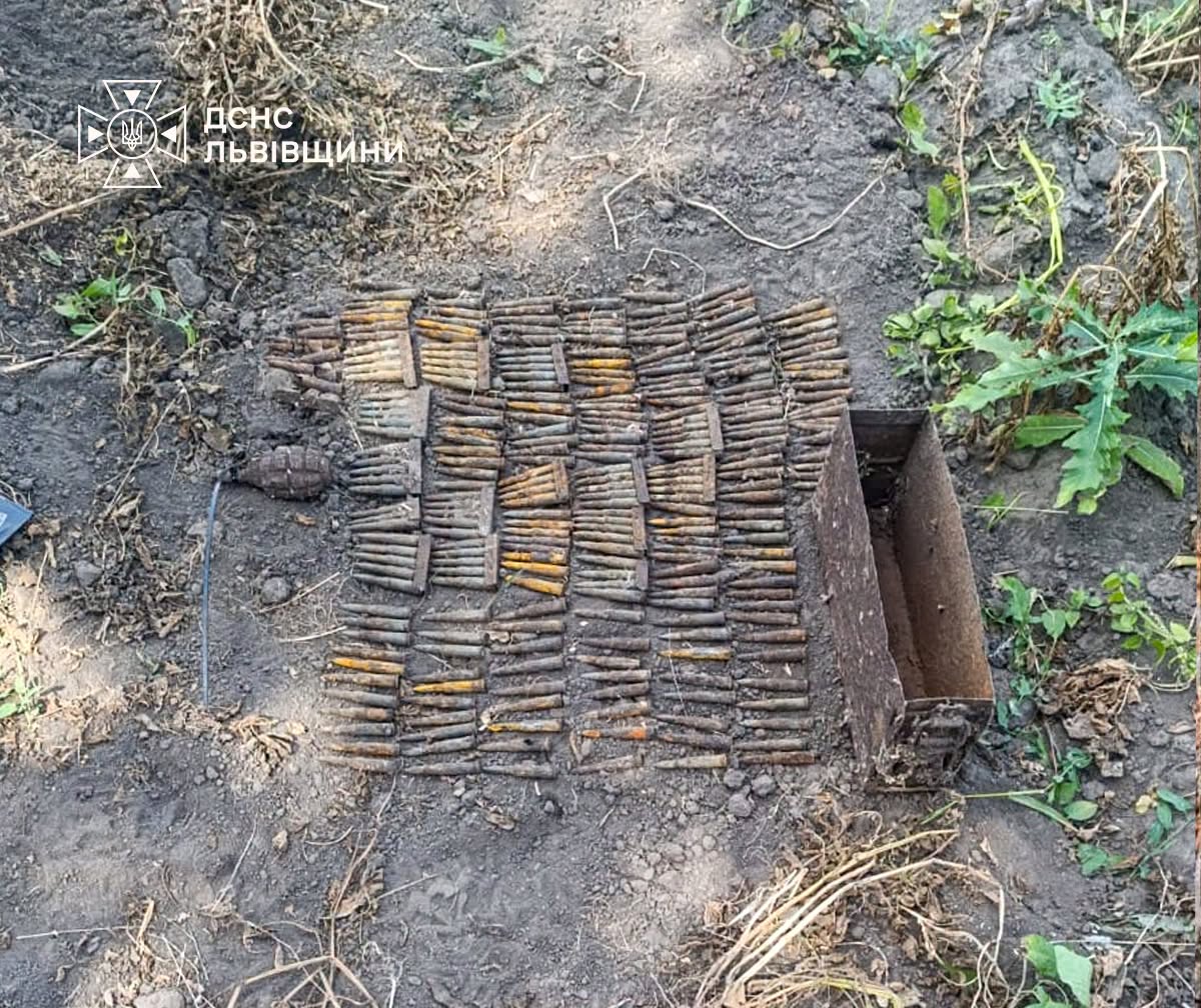 На Львівщині вилучили та знищили гранату й снаряди
