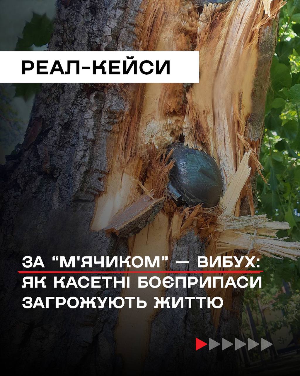 Як сапери ДСНС розміновують території