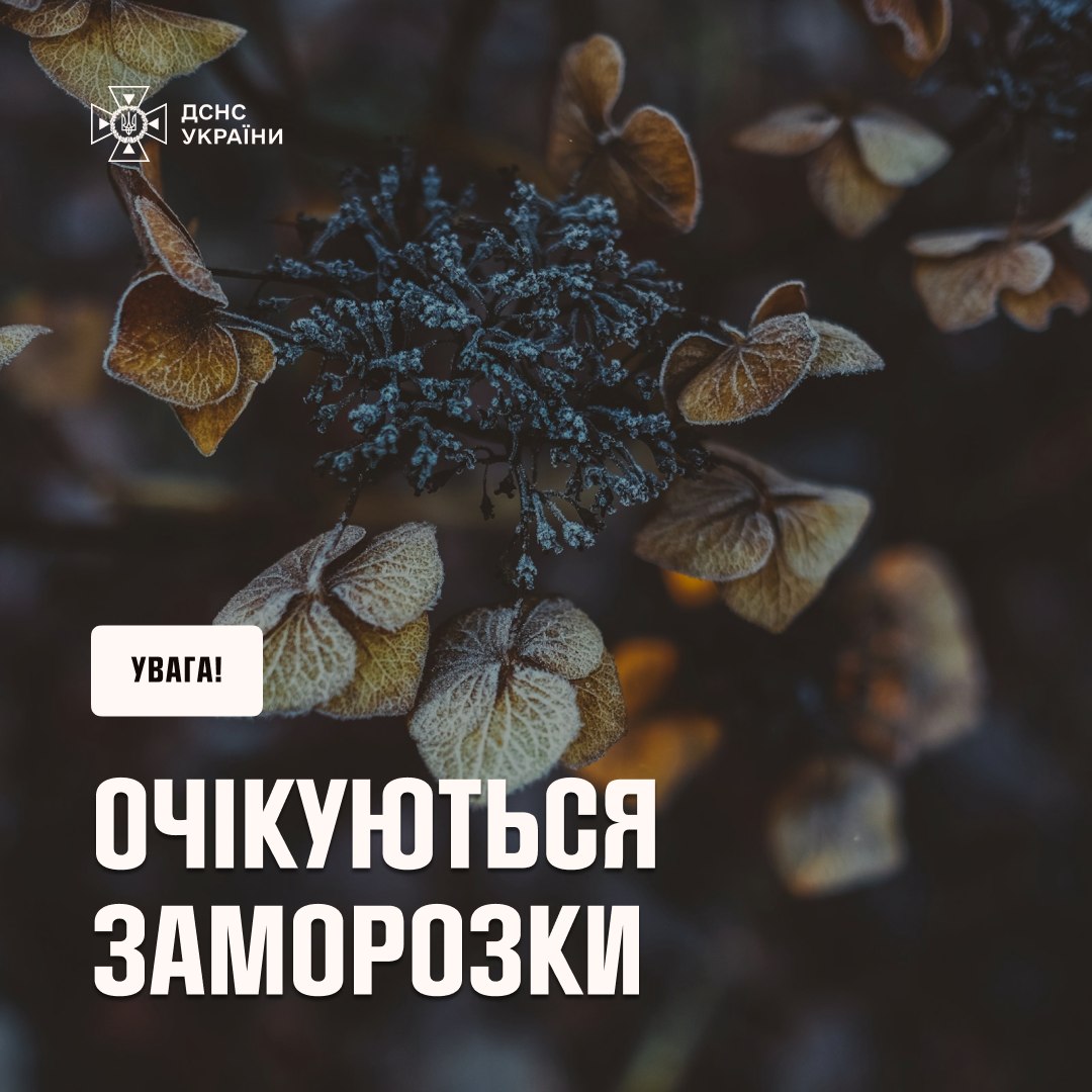 Заморозки 1-3 жовтня: попередження Укргідрометцентру