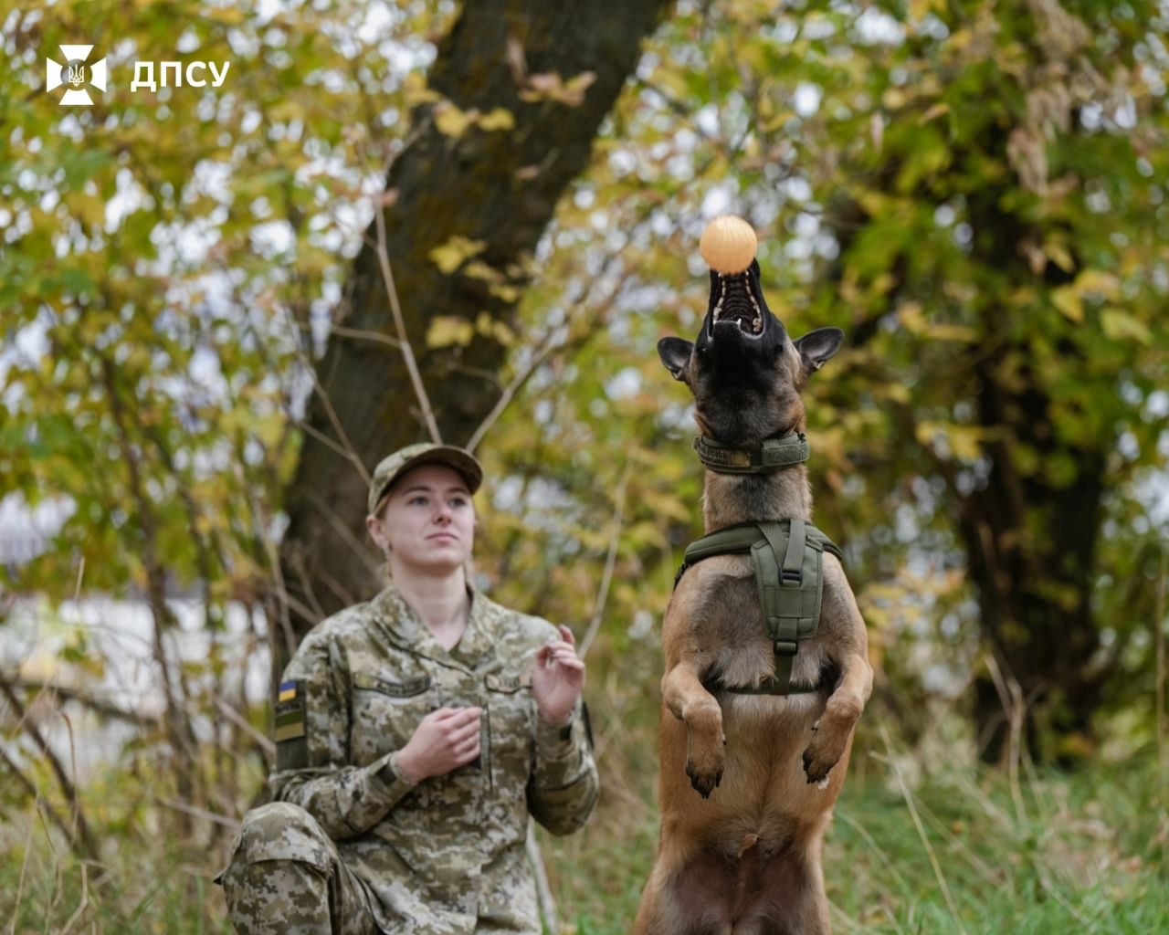 Осінні тренування кінологині Юлії та Дейзі